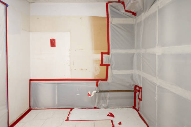 Best Commercial Mold Inspection  in New Holland, PA